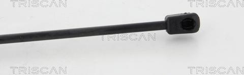 Triscan 8710 80210 - Газова пружина, кришка багажник avtolavka.club