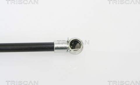 Triscan 8710 25228 - Газова пружина, кришка багажник avtolavka.club