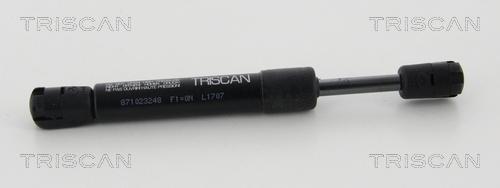 Triscan 8710 23248 - Газова пружина, кришка багажник avtolavka.club