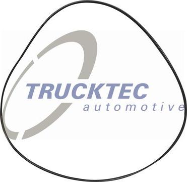 Trucktec Automotive 08.17.019 - Кільце ущільнювача, трубка охолоджуючої рідини avtolavka.club