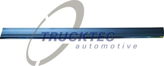 Trucktec Automotive 02.52.134 - Облицювання / захисна накладка, двері avtolavka.club