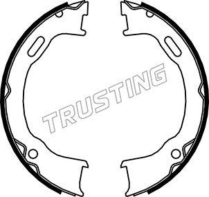 Trusting 088.239 - Комплект гальм, ручник, парковка avtolavka.club