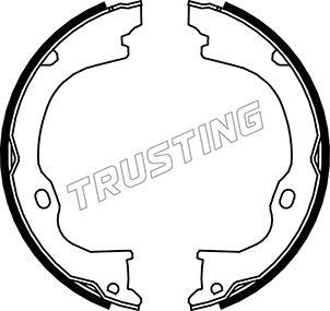 Trusting 088.238 - Комплект гальм, ручник, парковка avtolavka.club