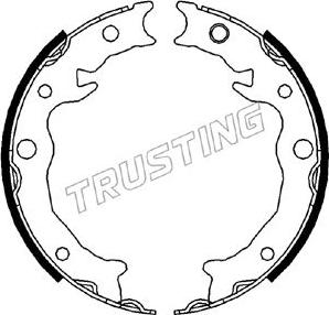 Trusting 110.343 - Комплект гальм, ручник, парковка avtolavka.club