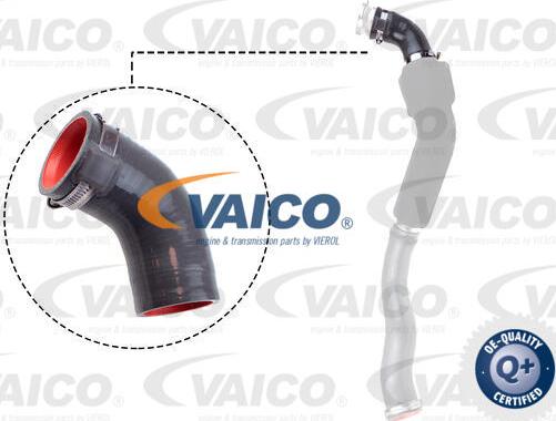 VAICO V46-1033 - Трубка нагнітається повітря avtolavka.club