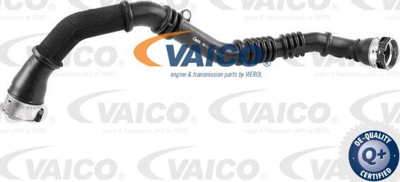VAICO V46-1177 - Трубка нагнітається повітря avtolavka.club