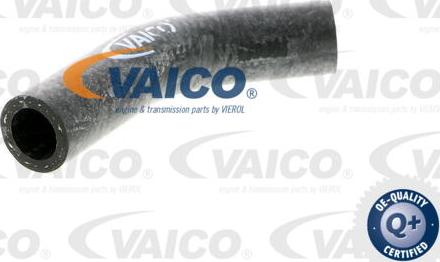 VAICO V40-0367 - Шланг радіатора avtolavka.club