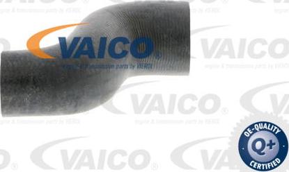 VAICO V40-0370 - Шланг радіатора avtolavka.club