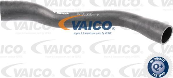 VAICO V40-1987 - Шланг для видалення повітря, паливний бак avtolavka.club