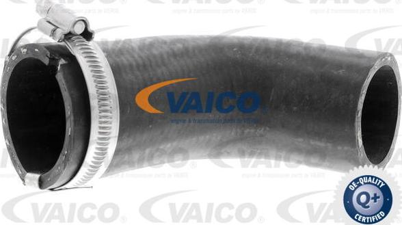 VAICO V40-1490 - Трубка нагнітається повітря avtolavka.club