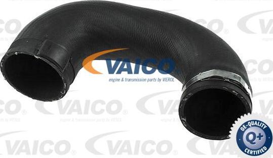 VAICO V40-1493 - Трубка нагнітається повітря avtolavka.club