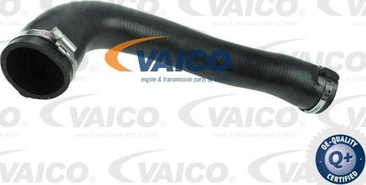 VAICO V40-1497 - Трубка нагнітається повітря avtolavka.club
