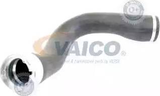 VAICO V40-1444 - Трубка нагнітається повітря avtolavka.club