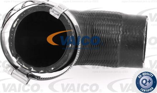 VAICO V40-1489 - Трубка нагнітається повітря avtolavka.club