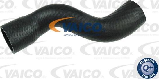 VAICO V40-1502 - Трубка нагнітається повітря avtolavka.club