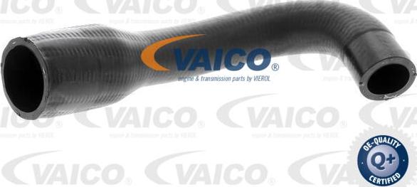 VAICO V40-1517 - Трубка нагнітається повітря avtolavka.club