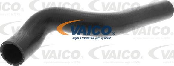 VAICO V40-1170 - Шланг радіатора avtolavka.club