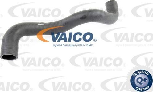 VAICO V40-1355 - Трубка нагнітається повітря avtolavka.club