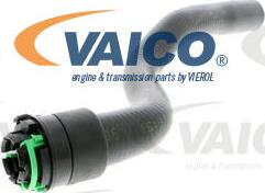 VAICO V40-1353 - Шланг радіатора avtolavka.club