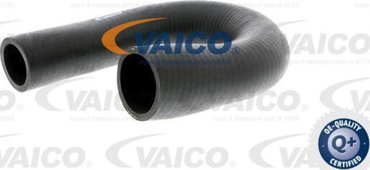 VAICO V40-1357 - Трубка нагнітається повітря avtolavka.club