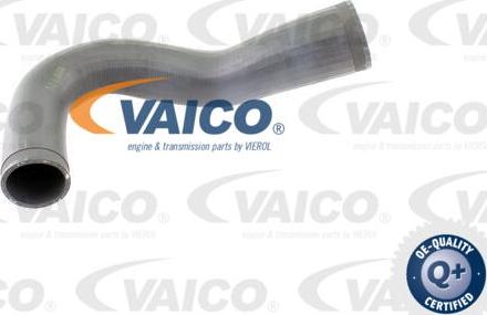 VAICO V40-1365 - Трубка нагнітається повітря avtolavka.club