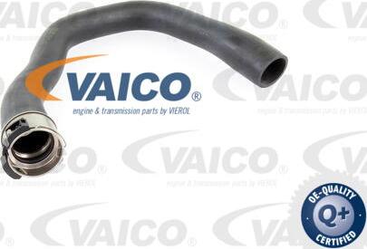 VAICO V40-1360 - Трубка нагнітається повітря avtolavka.club