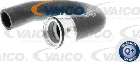 VAICO V40-1363 - Трубка нагнітається повітря avtolavka.club