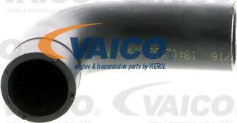 VAICO V40-1370 - Шланг, вентиляція картера avtolavka.club