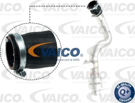 VAICO V48-0192 - Трубка нагнітається повітря avtolavka.club