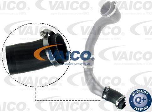 VAICO V48-0186 - Трубка нагнітається повітря avtolavka.club