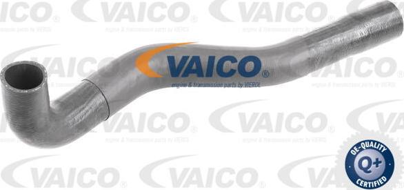 VAICO V48-0200 - Трубка нагнітається повітря avtolavka.club