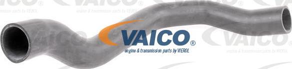 VAICO V42-0566 - Трубка нагнітається повітря avtolavka.club