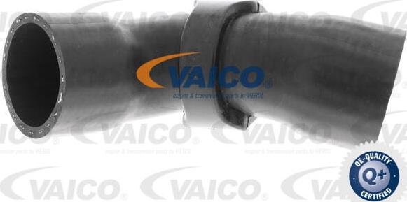 VAICO V42-0613 - Трубка нагнітається повітря avtolavka.club