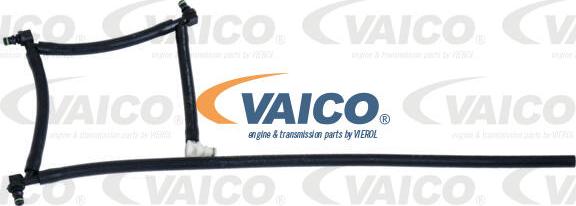 VAICO V42-0862 - Шланг, витік палива avtolavka.club