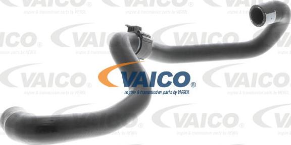 VAICO V10-4984 - Шланг, теплообмінник - опалення avtolavka.club