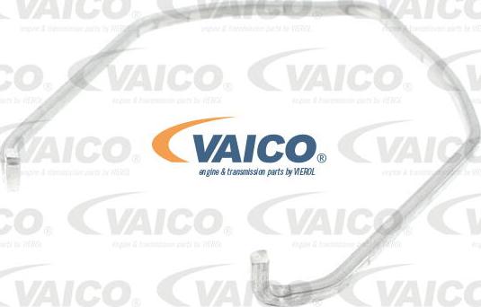 VAICO V10-4450 - Хомут, повітряний шланг компресора avtolavka.club
