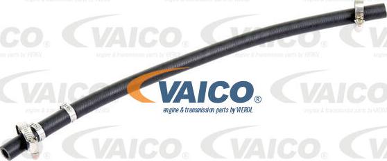 VAICO V10-4641 - Гідравлічний шланг, рульове управління avtolavka.club