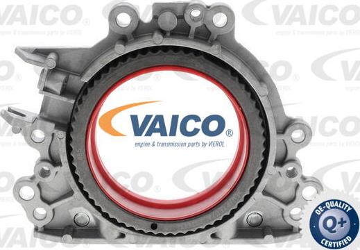 VAICO V10-4859 - Ущільнене кільце, колінчастий вал avtolavka.club