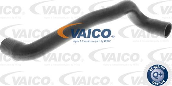 VAICO V10-4810 - Шланг радіатора avtolavka.club