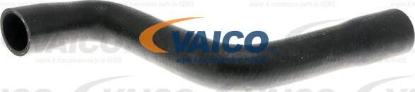 VAICO V10-4813 - Шланг радіатора avtolavka.club