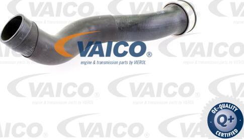 VAICO V10-4391 - Трубка нагнітається повітря avtolavka.club