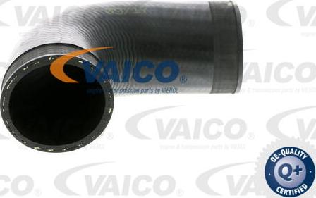 VAICO V10-4389 - Трубка нагнітається повітря avtolavka.club