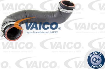 VAICO V10-4381 - Трубка нагнітається повітря avtolavka.club