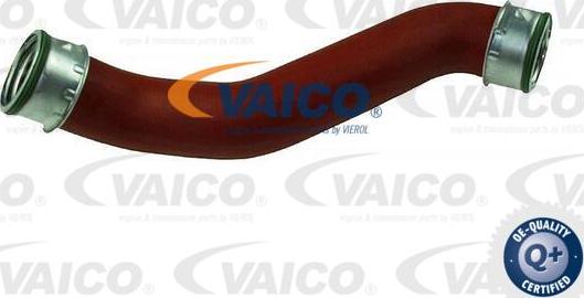 VAICO V10-4374 - Трубка нагнітається повітря avtolavka.club