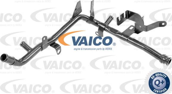 VAICO V10-4790 - Трубка охолоджуючої рідини avtolavka.club