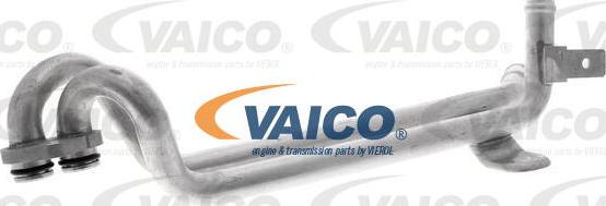 VAICO V10-4787 - Трубка охолоджуючої рідини avtolavka.club