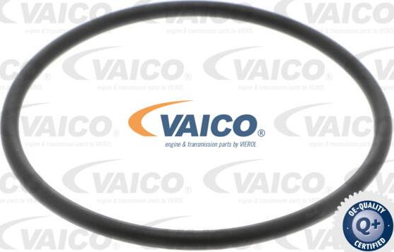VAICO V10-4722-1 - Гідрофільтри, автоматична коробка передач avtolavka.club