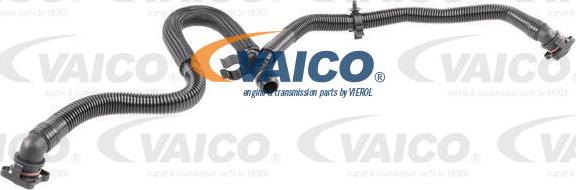 VAICO V10-5455 - Шланг, вентиляція картера avtolavka.club