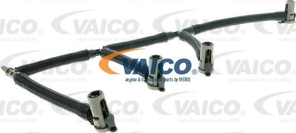VAICO V10-5504 - Шланг, витік палива avtolavka.club