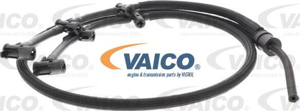 VAICO V10-5507 - Шланг, витік палива avtolavka.club